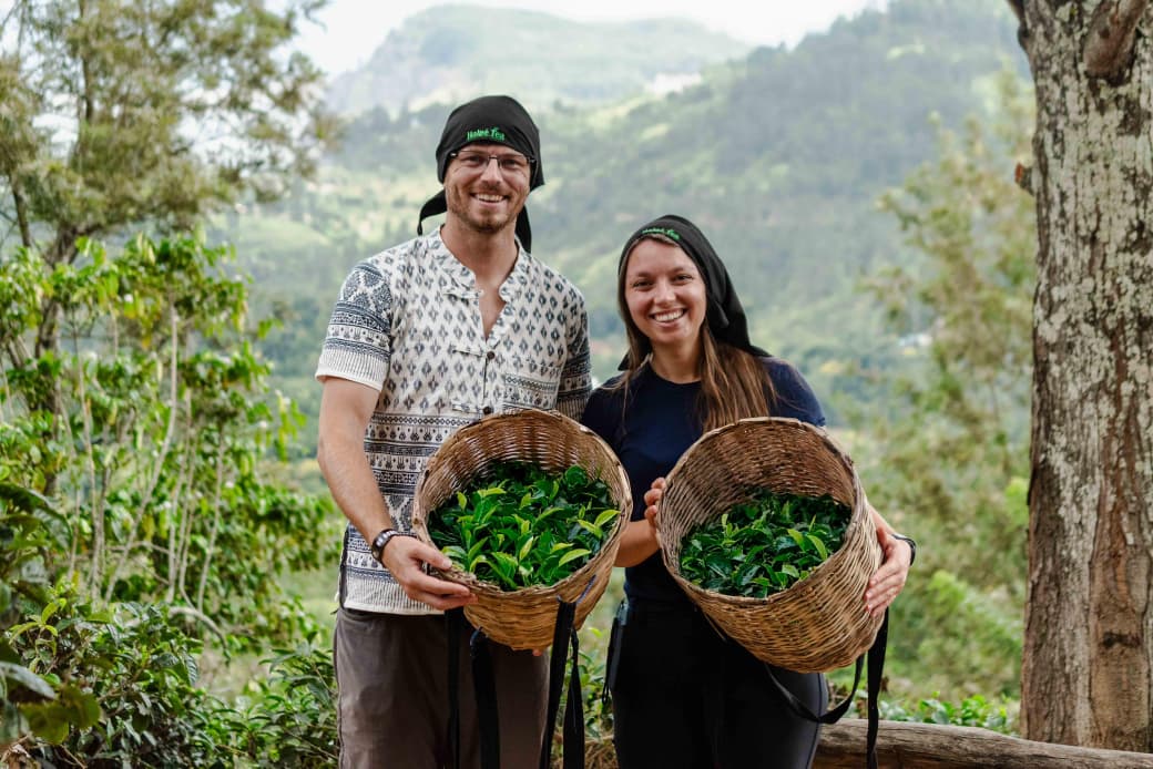 Travelers exploring Sri Lankan tea gardens with a local guide